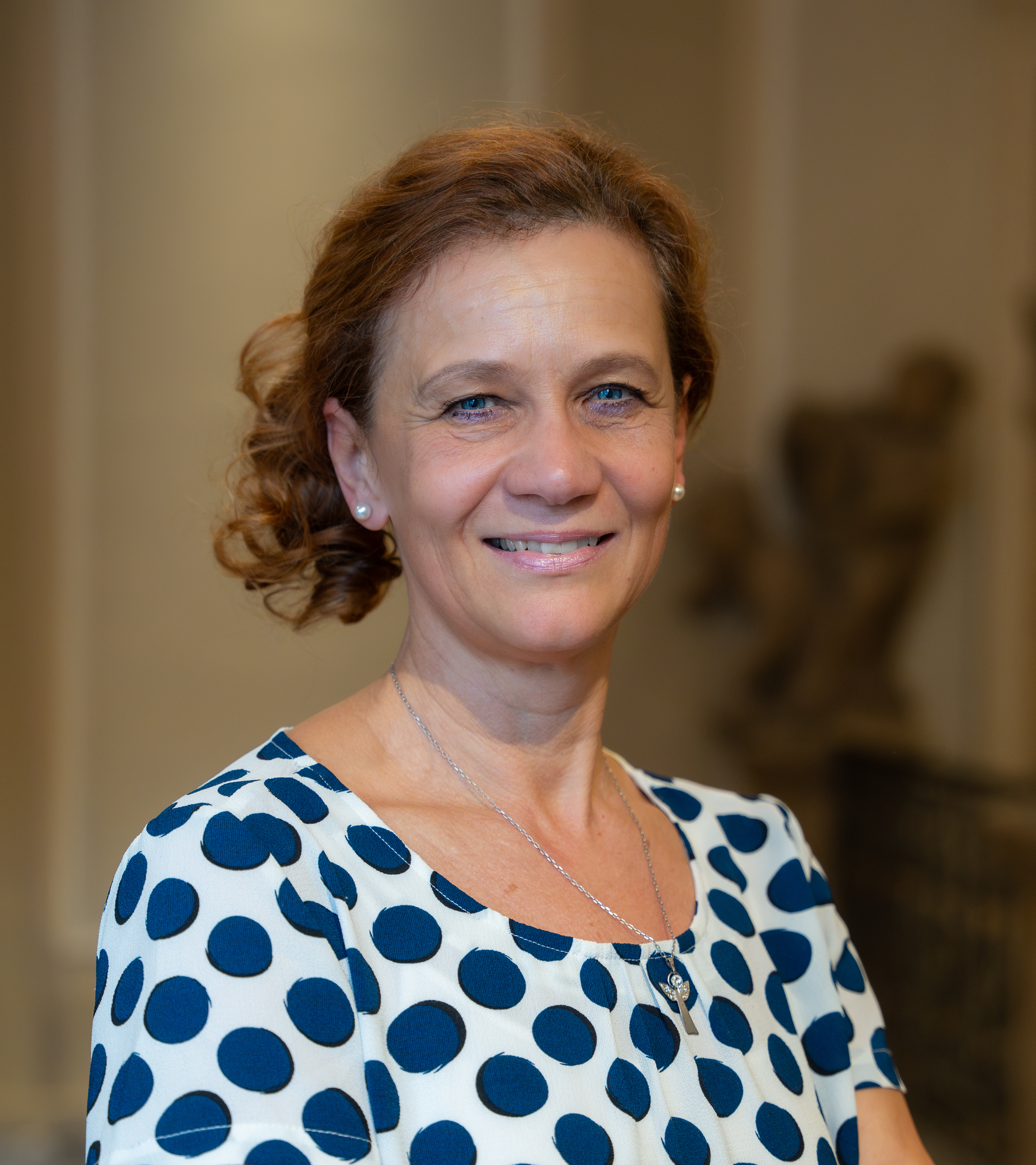 Ing. Petra Čížková - Anglo-American University in Prague